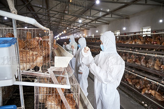 o(h)B(yng)uJ(rn)湤ŮB(yng)T