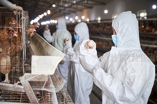 o(h)B(yng)uJ(rn)湤ŮB(yng)T