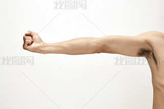 ɫµչֱۼ،