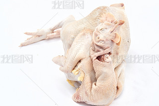 [ڰɫϵruu