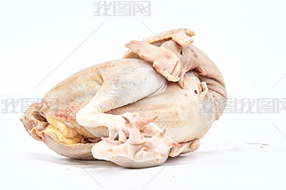 [ڰɫϵruu