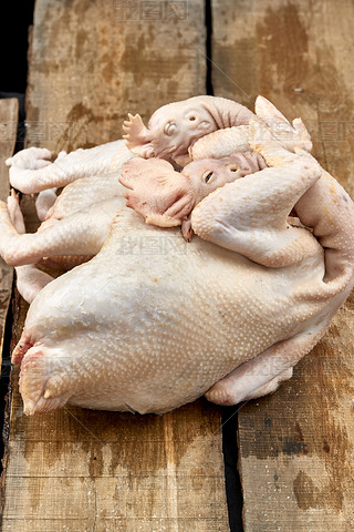 [ڰɫϵruu