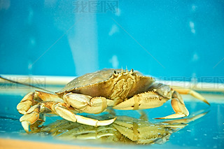 rз