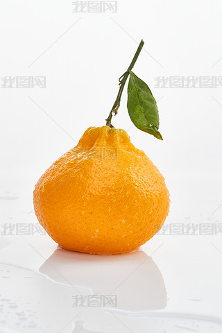 ɫϔ[ŵr