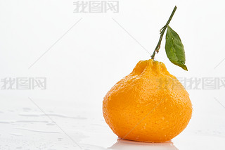 ɫϔ[ŵr
