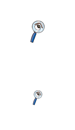 355XƼ
