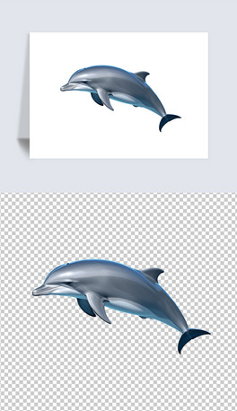 ɐӾґ཭ຣ⓸͸pngDƬز