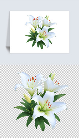 Ψɫٺϻܻ宋͸pngDƬز
