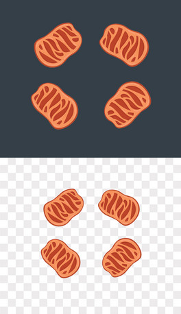 ɐţ⓸Ԫpng