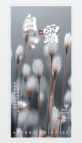 2024＾¶(ji)⺣(bo)