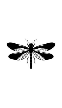 زğo޷ŴڰʸDԭ(chung)