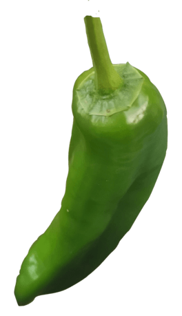 ཷ