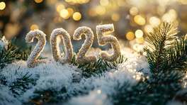 ɫµ2025ѩӮ