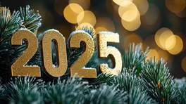 ʥQ(sh)b2025ɫ(sh)