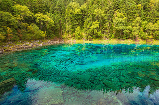 կ鞩峺