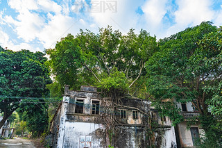 V|T(mn)_(ti)ɽһС(zhn)fT