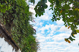 V|T(mn)_(ti)ɽһС(zhn)fT