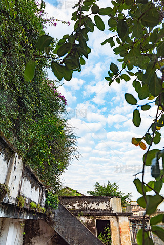 V|T(mn)_(ti)ɽһС(zhn)fT