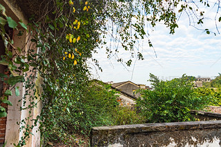 V|T(mn)_(ti)ɽһС(zhn)fT