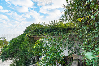 V|T(mn)_(ti)ɽһС(zhn)fT