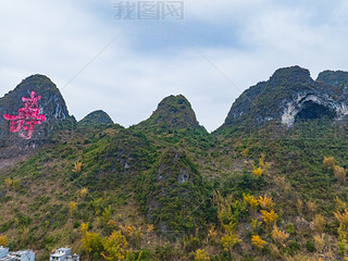 VӳذRL(zhng)l(xing)