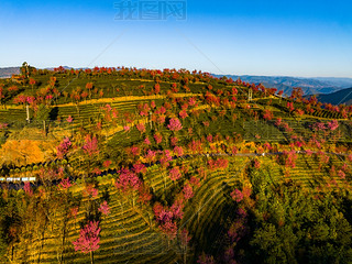 ϴo(w)ɽѻ(yng)еęѻ