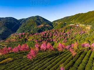 ϴo(w)ɽѻ(yng)еęѻ