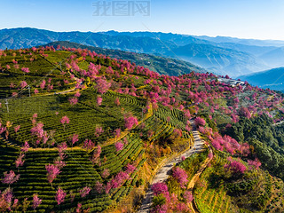 ϴo(w)ɽѻ(yng)еęѻ