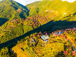 ϴo(w)ɽѻ(yng)еęѻ