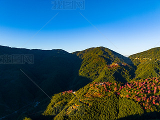 ϴo(w)ɽѻ(yng)еęѻ