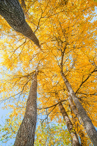 Ї(gu)ຣԴh糿Ľɫט