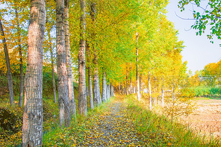 Ї(gu)ຣԴh糿Ľɫט