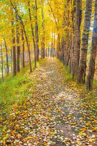 Ї(gu)ຣԴh糿Ľɫט