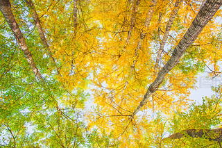 Ї(gu)ຣԴh糿Ľɫט