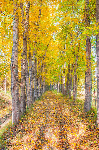 Ї(gu)ຣԴh糿Ľɫט