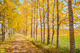 Ї(gu)ຣԴh糿Ľɫט