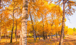 Ї(gu)ຣԴh糿Ľɫט