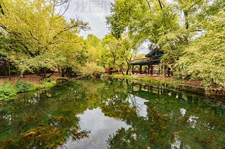 䳺ӹ(zhn)Ŷ?zh)?>
                                                                    </a>
                                <div   id=