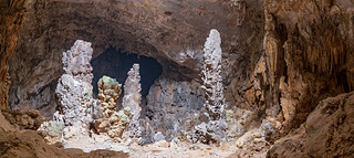 Vӳضi׶