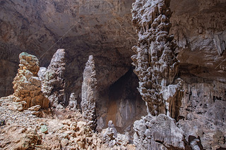 Vӳضi׶