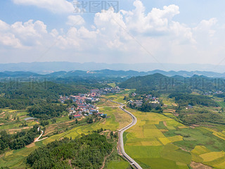 òSr(nng)I(y)NֲĔzӰD