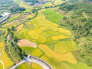 òSr(nng)I(y)NֲĔzӰD