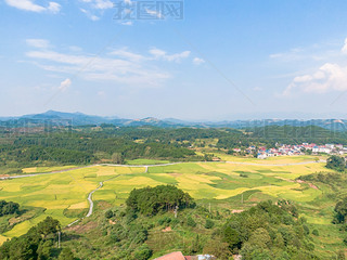 òSr(nng)I(y)NֲĔzӰD