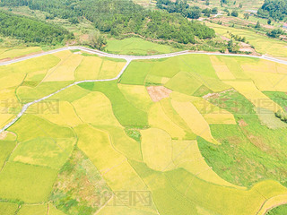 òSr(nng)I(y)NֲĔzӰD