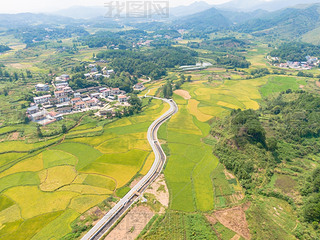 òSr(nng)I(y)NֲĔzӰD