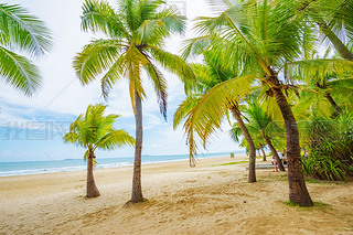 Ҭ(mng)L(zhng)ҬɳL(fng)