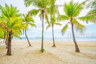 Ҭ(mng)L(zhng)ҬɳL(fng)