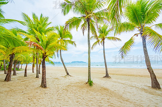 Ҭ(mng)L(zhng)ҬɳL(fng)