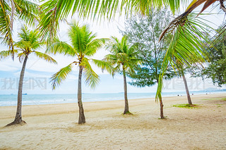 Ҭ(mng)L(zhng)ҬɳL(fng)