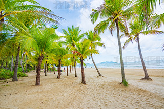 Ҭ(mng)L(zhng)ҬɳL(fng)